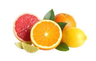 06 Dosing - Counters (2)